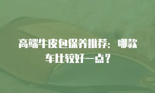 高端牛皮包保养推荐：哪款车比较好一点？
