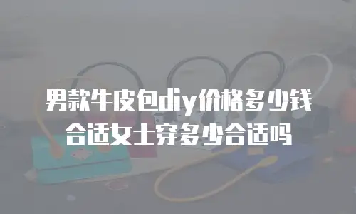 男款牛皮包diy价格多少钱合适女士穿多少合适吗