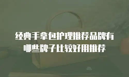 经典手拿包护理推荐品牌有哪些牌子比较好用推荐