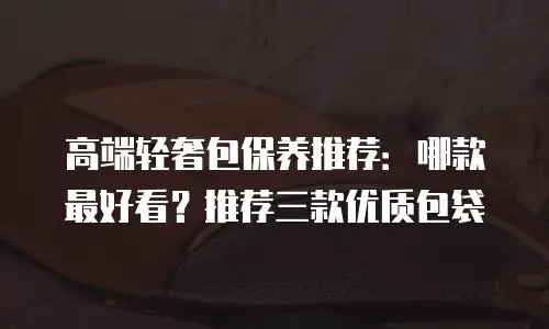 高端轻奢包保养推荐：哪款最好看？推荐三款优质包袋