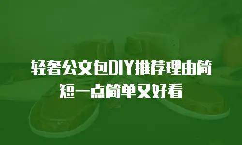 轻奢公文包DIY推荐理由简短一点简单又好看