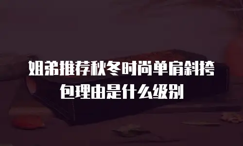 姐弟推荐秋冬时尚单肩斜挎包理由是什么级别