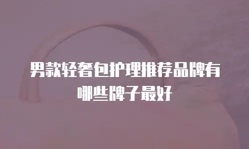 男款轻奢包护理推荐品牌有哪些牌子最好