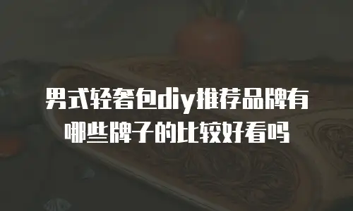 男式轻奢包diy推荐品牌有哪些牌子的比较好看吗