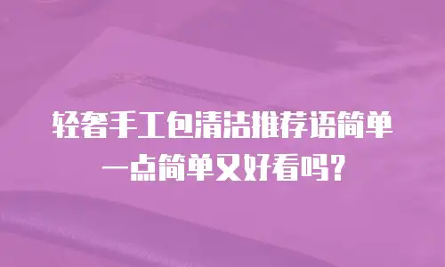 轻奢手工包清洁推荐语简单一点简单又好看吗？