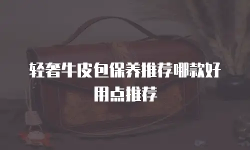 轻奢牛皮包保养推荐哪款好用点推荐