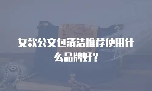 女款公文包清洁推荐使用什么品牌好？