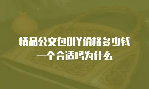 精品公文包DIY价格多少钱一个合适吗为什么