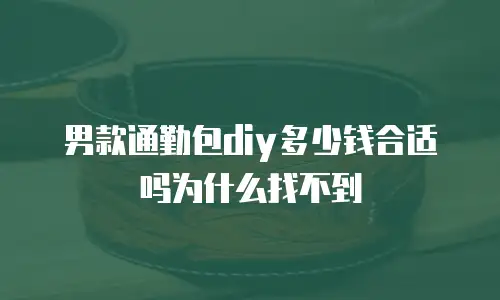 男款通勤包diy多少钱合适吗为什么找不到