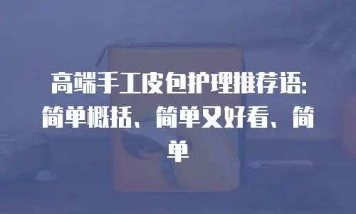 高端手工皮包护理推荐语：简单概括、简单又好看、简单