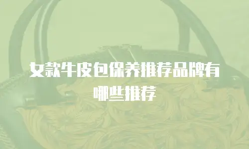 女款牛皮包保养推荐品牌有哪些推荐