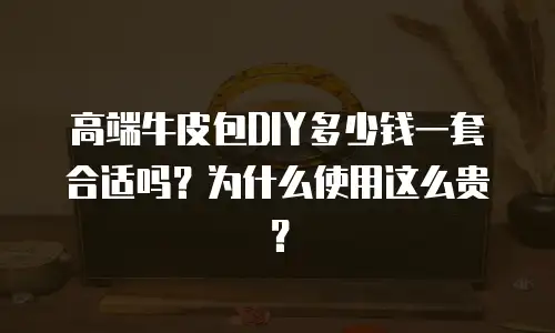 高端牛皮包DIY多少钱一套合适吗？为什么使用这么贵？