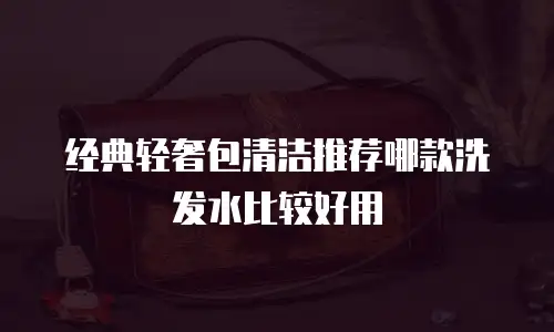 经典轻奢包清洁推荐哪款洗发水比较好用