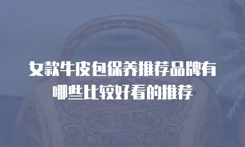 女款牛皮包保养推荐品牌有哪些比较好看的推荐