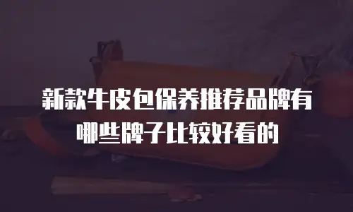 新款牛皮包保养推荐品牌有哪些牌子比较好看的