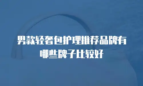 男款轻奢包护理推荐品牌有哪些牌子比较好