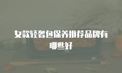 女款轻奢包保养推荐品牌有哪些好