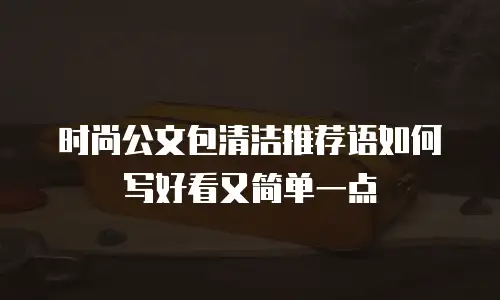 时尚公文包清洁推荐语如何写好看又简单一点