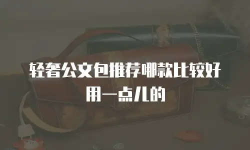 轻奢公文包推荐哪款比较好用一点儿的