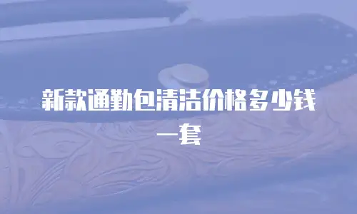 新款通勤包清洁价格多少钱一套