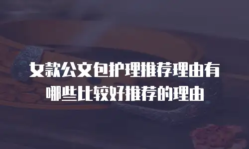 女款公文包护理推荐理由有哪些比较好推荐的理由