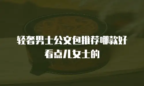 轻奢男士公文包推荐哪款好看点儿女士的