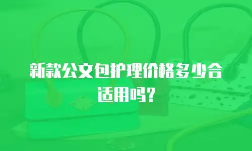 新款公文包护理价格多少合适用吗？
