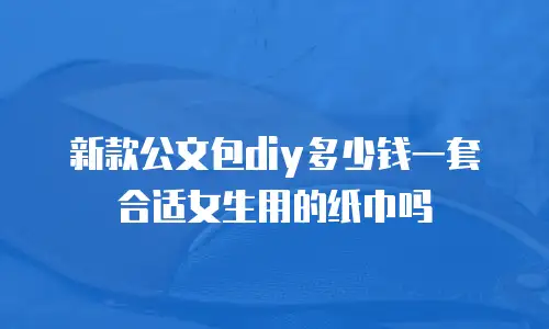 新款公文包diy多少钱一套合适女生用的纸巾吗