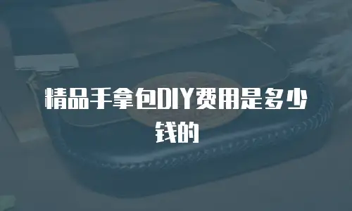 精品手拿包DIY费用是多少钱的