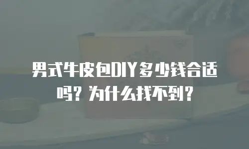 男式牛皮包DIY多少钱合适吗？为什么找不到？