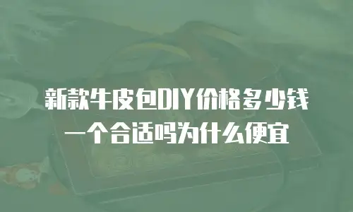 新款牛皮包DIY价格多少钱一个合适吗为什么便宜