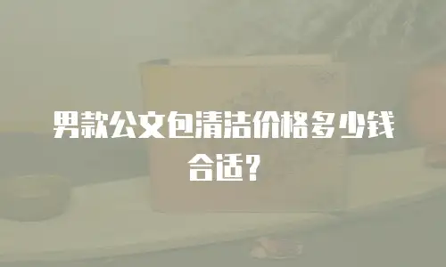 男款公文包清洁价格多少钱合适？