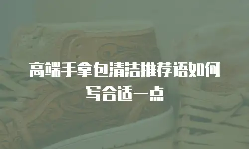 高端手拿包清洁推荐语如何写合适一点