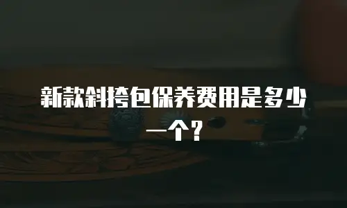 新款斜挎包保养费用是多少一个？