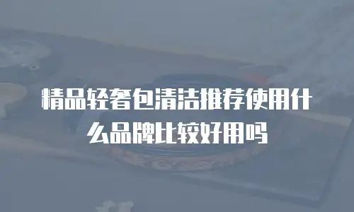 精品轻奢包清洁推荐使用什么品牌比较好用吗