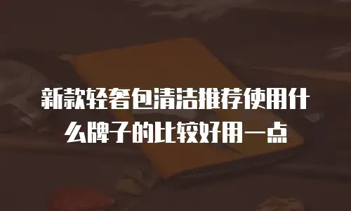 新款轻奢包清洁推荐使用什么牌子的比较好用一点