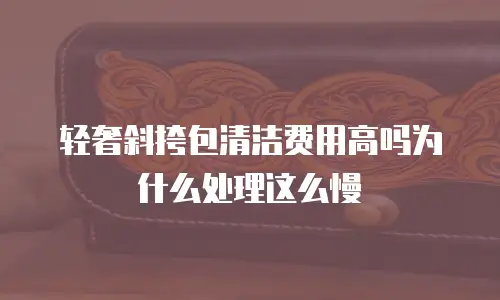 轻奢斜挎包清洁费用高吗为什么处理这么慢