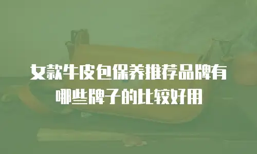 女款牛皮包保养推荐品牌有哪些牌子的比较好用