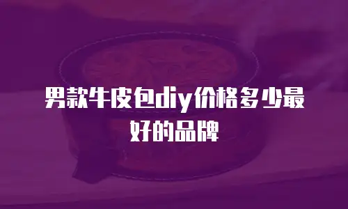 男款牛皮包diy价格多少最好的品牌