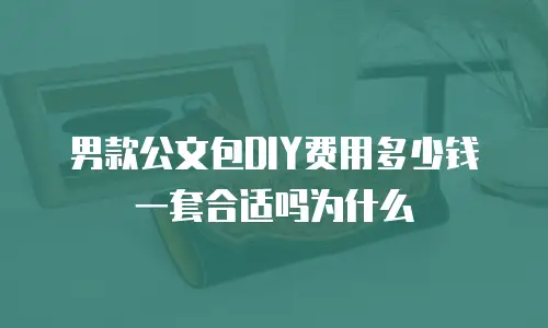 男款公文包DIY费用多少钱一套合适吗为什么