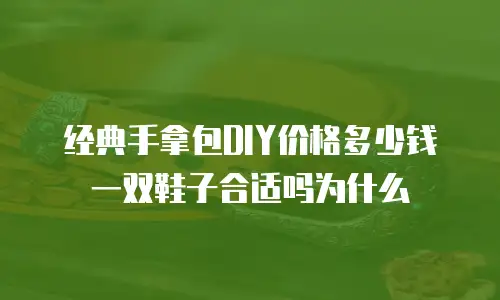 经典手拿包DIY价格多少钱一双鞋子合适吗为什么