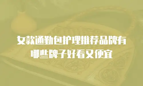 女款通勤包护理推荐品牌有哪些牌子好看又便宜