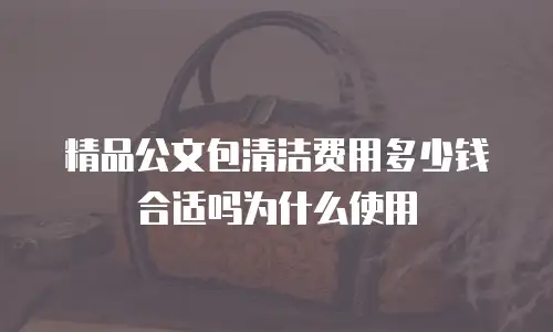 精品公文包清洁费用多少钱合适吗为什么使用