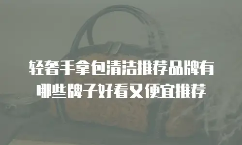 轻奢手拿包清洁推荐品牌有哪些牌子好看又便宜推荐