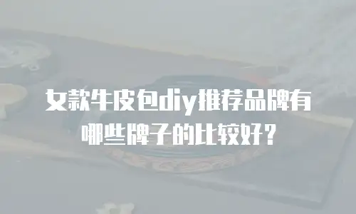 女款牛皮包diy推荐品牌有哪些牌子的比较好？