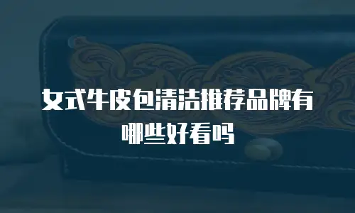 女式牛皮包清洁推荐品牌有哪些好看吗