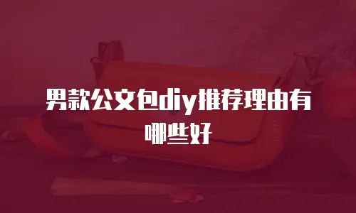 男款公文包diy推荐理由有哪些好