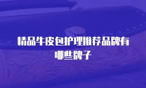 精品牛皮包护理推荐品牌有哪些牌子