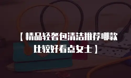 【精品轻奢包清洁推荐哪款比较好看点女士】