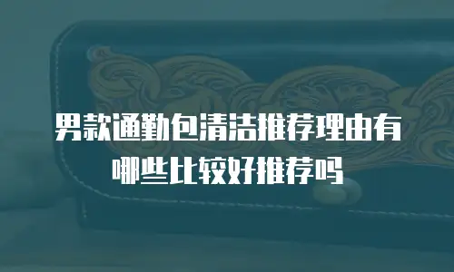 男款通勤包清洁推荐理由有哪些比较好推荐吗